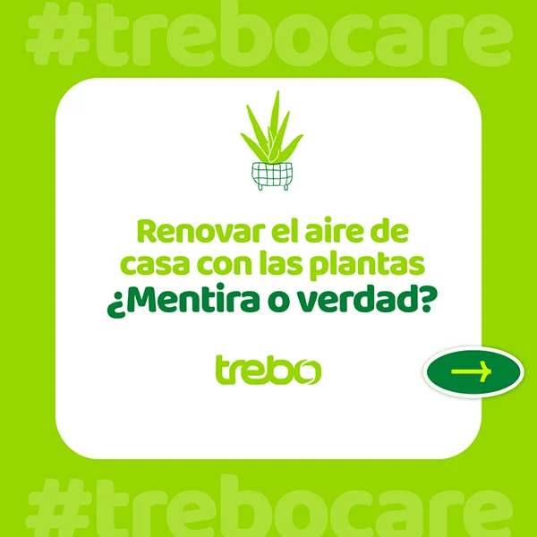 Aplicaciones visuales del proyecto Trebo